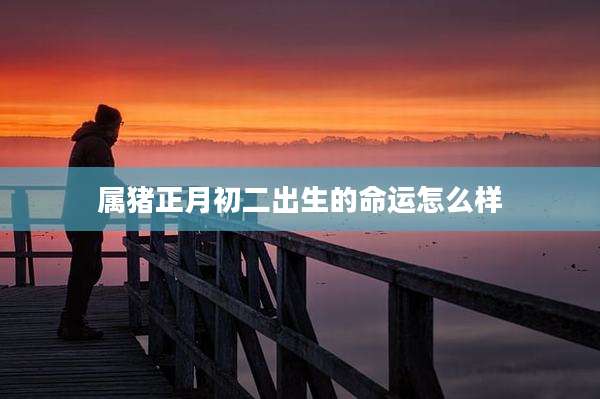 属猪正月初二出生的命运怎么样