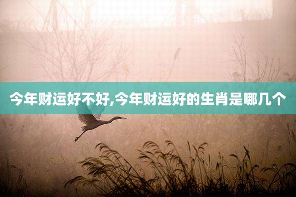 今年财运好不好,今年财运好的生肖是哪几个