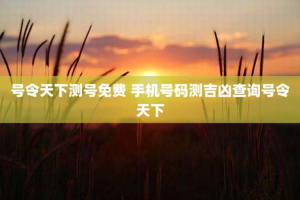 号令天下测号免费 手机号码测吉凶查询号令天下