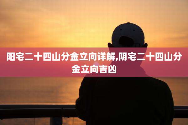 阳宅二十四山分金立向详解,阴宅二十四山分金立向吉凶