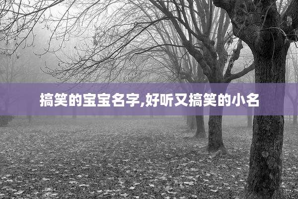 搞笑的宝宝名字,好听又搞笑的小名