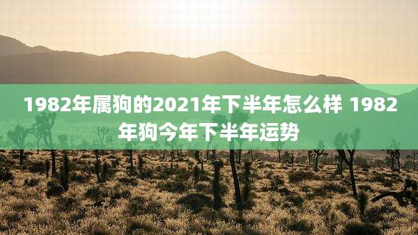 1982年属狗的2021年下半年怎么样 1982年狗今年下半年运势