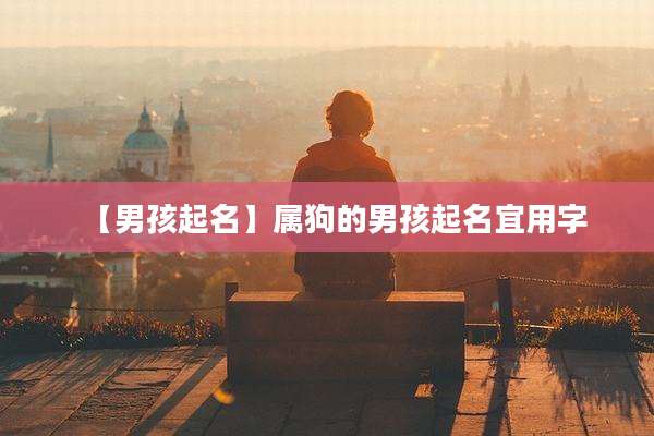 【男孩起名】属狗的男孩起名宜用字