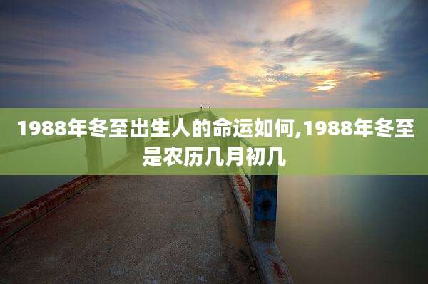 1988年冬至出生人的命运如何,1988年冬至是农历几月初几