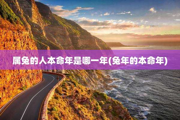 属兔的人本命年是哪一年(兔年的本命年)