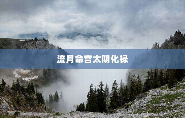 流月命宫太阴化禄