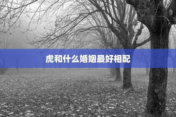 虎和什么婚姻最好相配