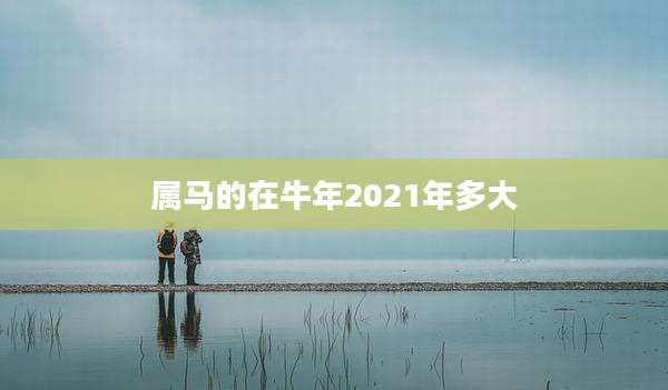 属马的在牛年2021年多大