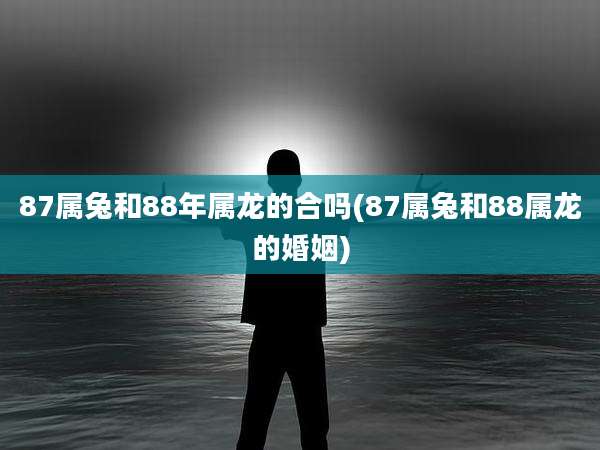 87属兔和88年属龙的合吗(87属兔和88属龙的婚姻)