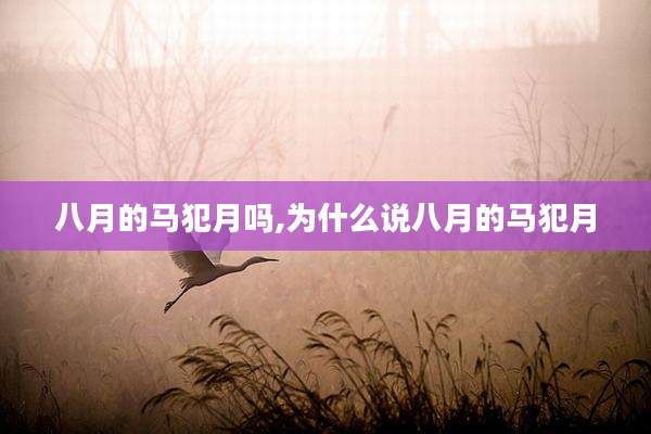 八月的马犯月吗,为什么说八月的马犯月