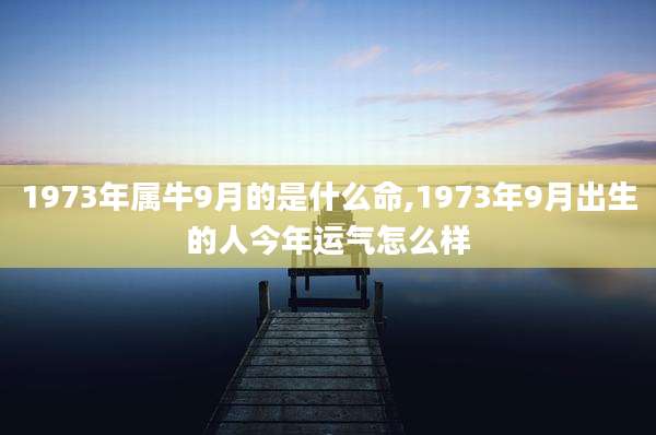 1973年属牛9月的是什么命,1973年9月出生的人今年运气怎么样