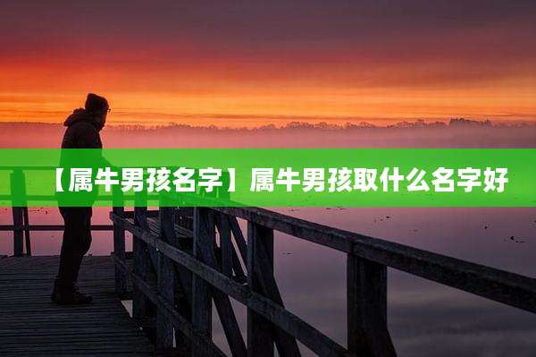【属牛男孩名字】属牛男孩取什么名字好