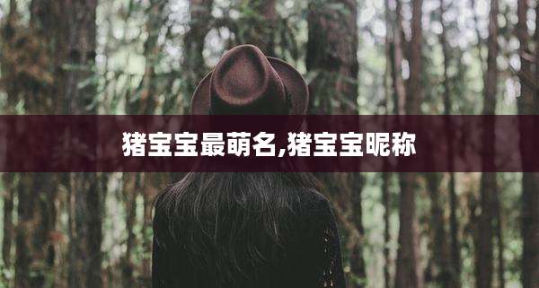 猪宝宝最萌名,猪宝宝昵称