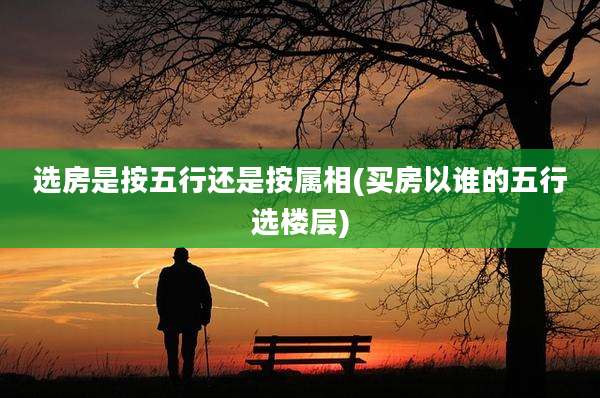 选房是按五行还是按属相(买房以谁的五行选楼层)