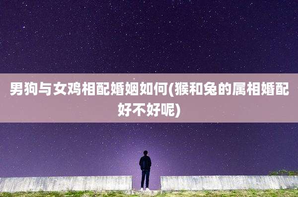 男狗与女鸡相配婚姻如何(猴和兔的属相婚配好不好呢)