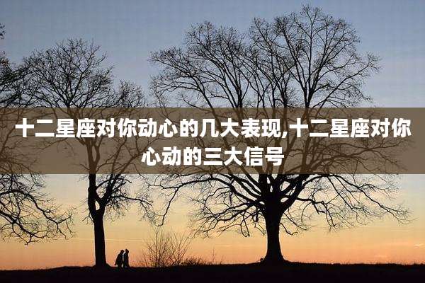十二星座对你动心的几大表现,十二星座对你心动的三大信号