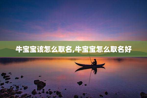 牛宝宝该怎么取名,牛宝宝怎么取名好