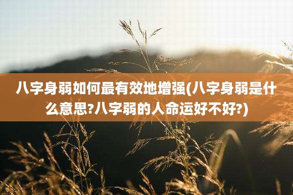 八字身弱如何最有效地增强(八字身弱是什么意思?八字弱的人命运好不好?)