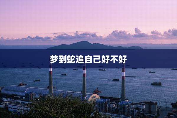 梦到蛇追自己好不好