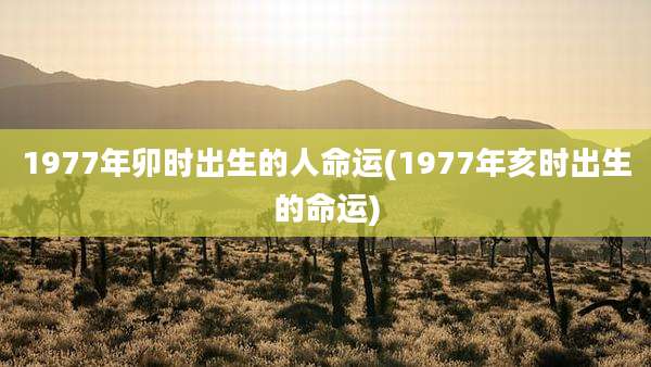 1977年卯时出生的人命运(1977年亥时出生的命运)