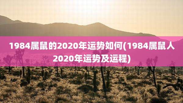 1984属鼠的2020年运势如何(1984属鼠人2020年运势及运程)