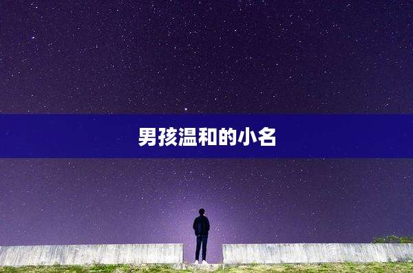男孩温和的小名