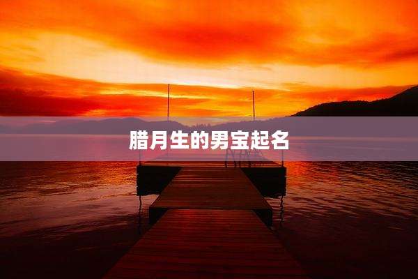 腊月生的男宝起名