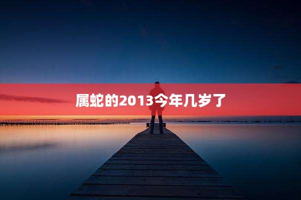属蛇的2013今年几岁了
