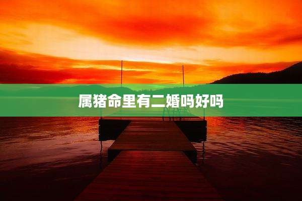 属猪命里有二婚吗好吗