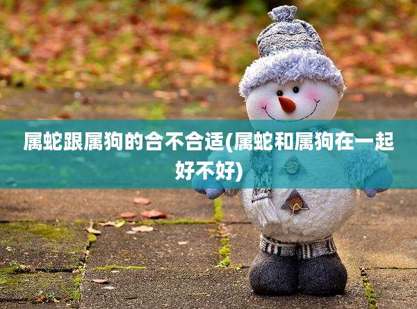 属蛇跟属狗的合不合适(属蛇和属狗在一起好不好)