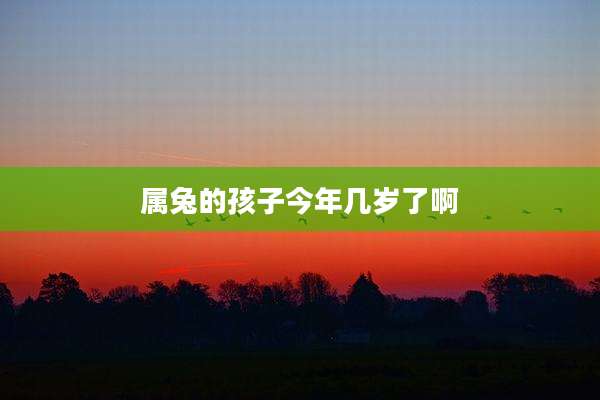 属兔的孩子今年几岁了啊
