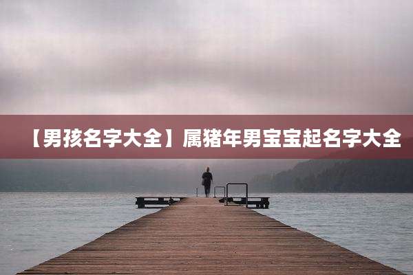 【男孩名字大全】属猪年男宝宝起名字大全