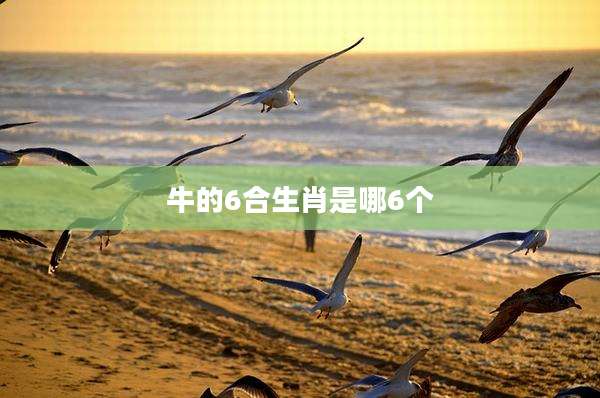 牛的6合生肖是哪6个