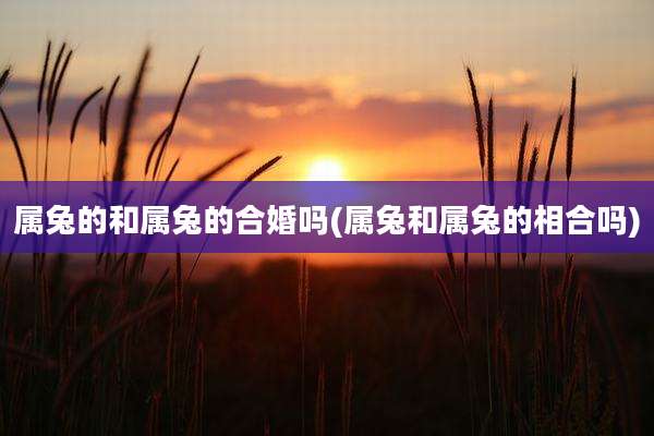 属兔的和属兔的合婚吗(属兔和属兔的相合吗)