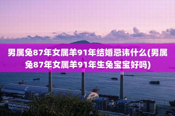 男属兔87年女属羊91年结婚忌讳什么(男属兔87年女属羊91年生兔宝宝好吗)
