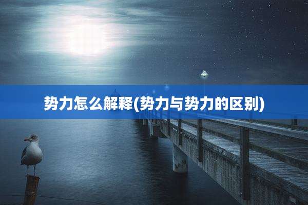 势力怎么解释(势力与势力的区别)