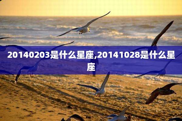 20140203是什么星座,20141028是什么星座