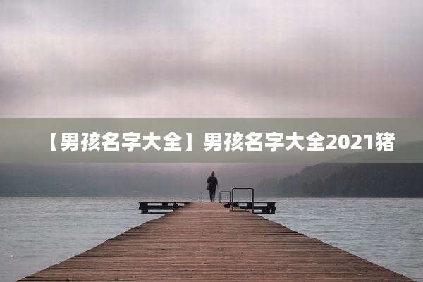 【男孩名字大全】男孩名字大全2021猪