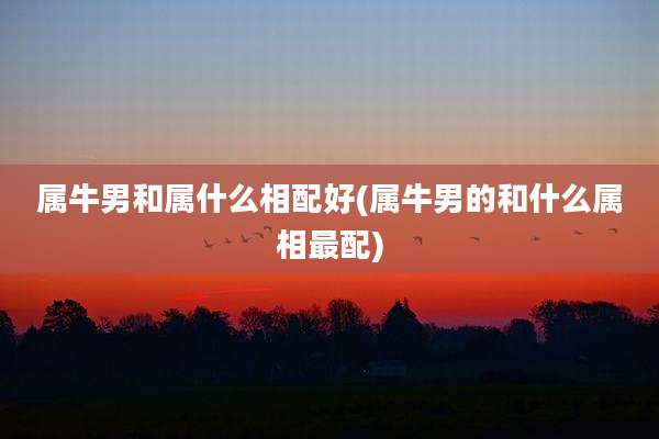属牛男和属什么相配好(属牛男的和什么属相最配)