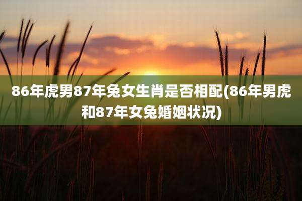 86年虎男87年兔女生肖是否相配(86年男虎和87年女兔婚姻状况)