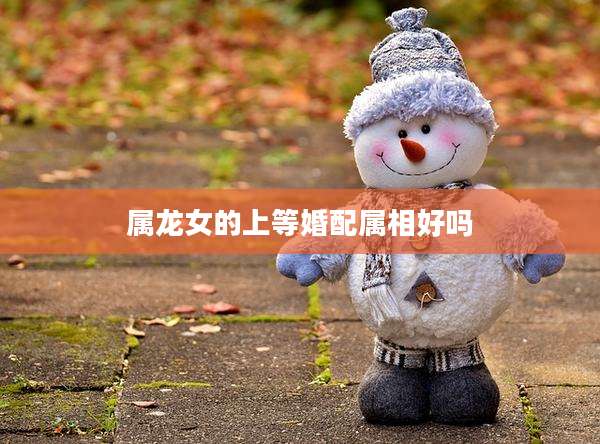 属龙女的上等婚配属相好吗