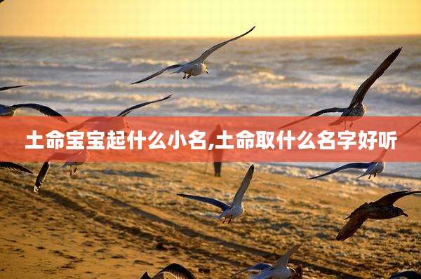 土命宝宝起什么小名,土命取什么名字好听