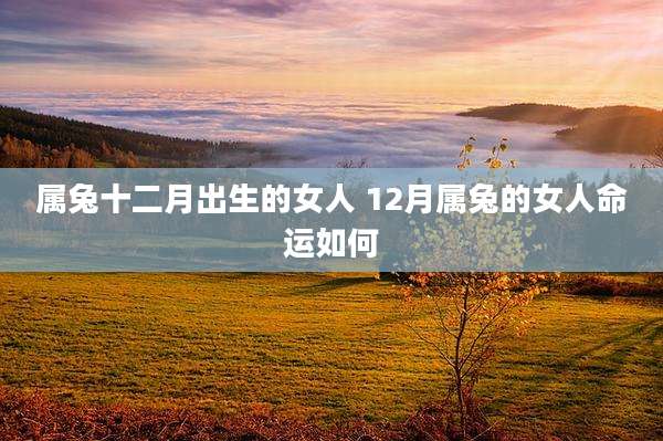 属兔十二月出生的女人 12月属兔的女人命运如何