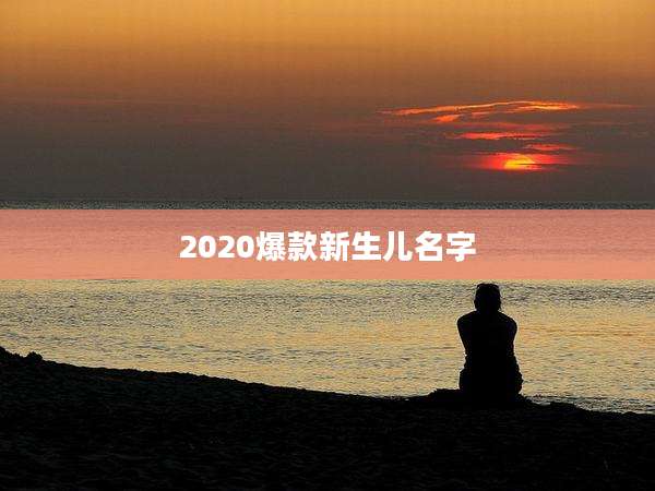 2020爆款新生儿名字
