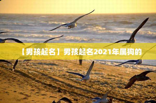 【男孩起名】男孩起名2021年属狗的