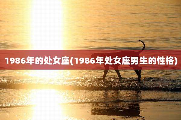 1986年的处女座(1986年处女座男生的性格)