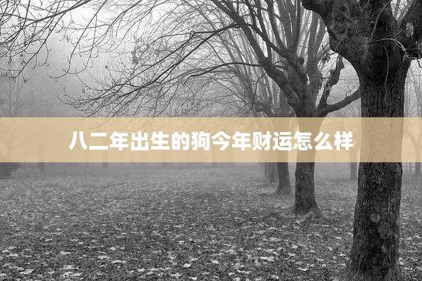 八二年出生的狗今年财运怎么样