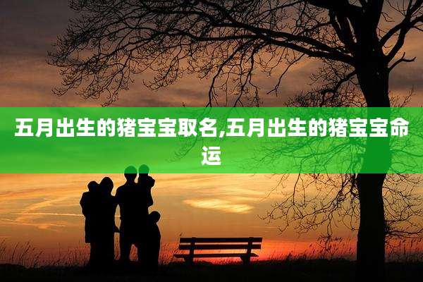 五月出生的猪宝宝取名,五月出生的猪宝宝命运