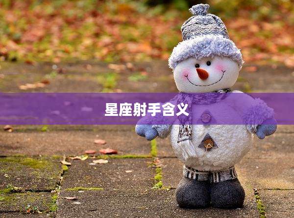 星座射手含义