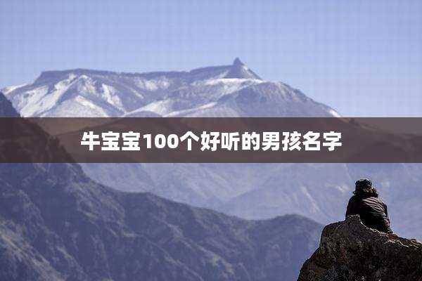 牛宝宝100个好听的男孩名字